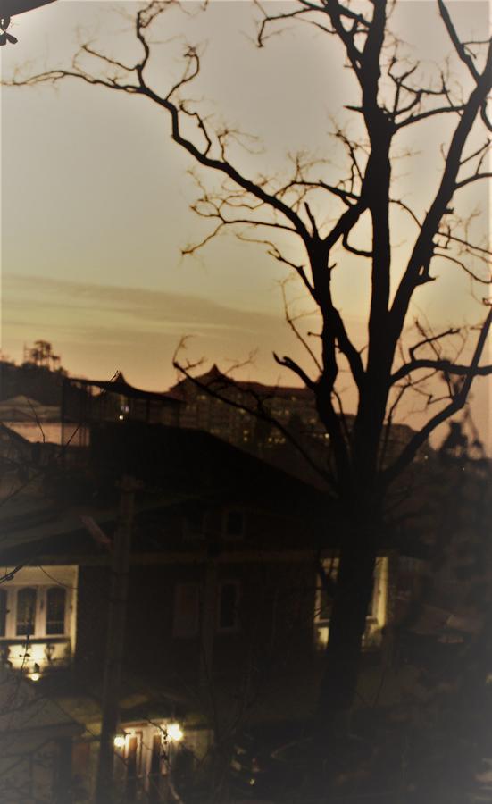 Prakash Cottage Šimla Exteriér fotografie
